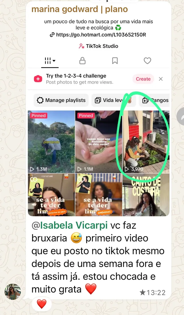 Print de mensagem de aluna